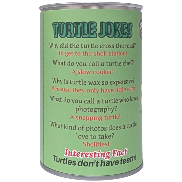 Sea Turtle Canned Stuffed Animal
