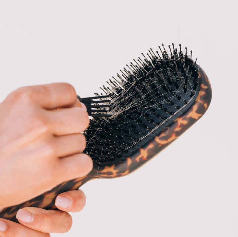 Teleties Boar Tortoise Brush